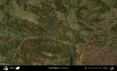 Gomel Bölgesi. Ekim 2021 'de çekilen Global Mozaik Sentinel-2 karolarından oluşan bir uydu görüntüsü üzerinde Belarus' un idari alanı