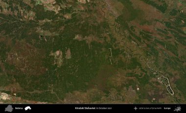 Kirauski Sielkurtarviet. Ekim 2021 'de çekilen Global Mozaik Sentinel-2 karolarından oluşan bir uydu görüntüsü üzerinde Belarus' un idari alanı