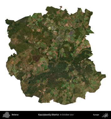 Kasciukovicy Bölgesi. Beyaz Rusya 'nın idari bölgesi, Ekim 2021' de çekilen Global Mozaik Sentinel-2 karolarından oluşan bir uydu görüntüsüyle beyaza izole edildi.
