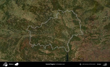 Gomel Bölgesi. Belarus 'un idari alanı, Global Mozaik Sentinel-2' nin Ekim 2021 'de çekilmiş bir uydu görüntüsüyle özetlenmiştir.