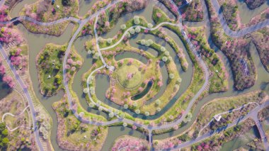 Şangay 'da gökyüzünden büyük bir erik çiçeği ormanına bakıyor.