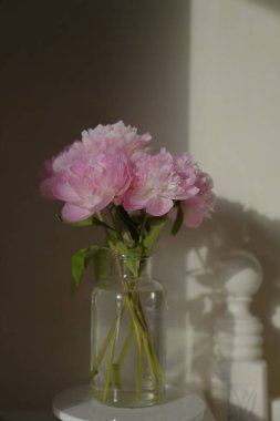 Şakayık, yazın başındaki en güzel çiçeklerden biridir.