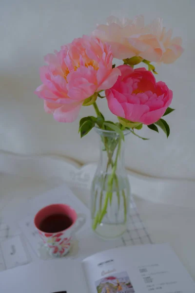 Gyöngéd Bazsarózsa Egyik Legszebb Virág Kora Nyáron — Stock Fotó