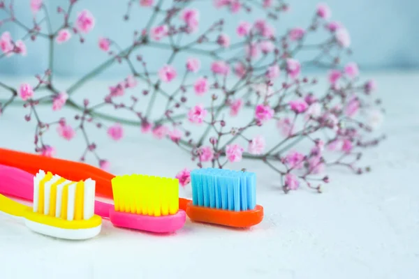 Three Bright Multi Colored Toothbrushes White Table Pink Gypsophila Flowers — Stock Photo, Image