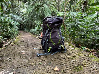 Açık hava macerası için verimli tropikal ormanlarda yosunlu taş patikada sırt çantasıyla dolaşmak.