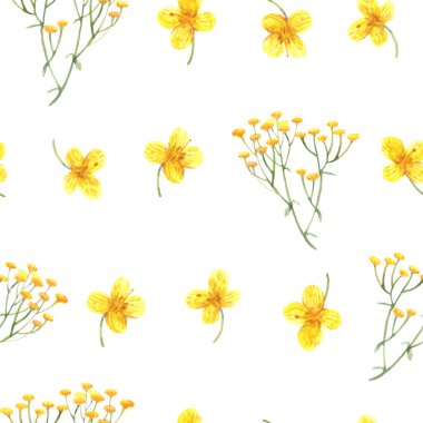 Parlak sarı kır çiçekleri elle boyanmış. Kusursuz suluboya arkaplan kumaş, duvar kağıdı veya dekoratif kağıt için mükemmel.