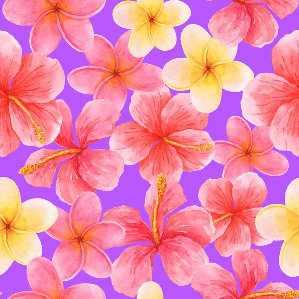 Nahtloses Aquarellmuster mit Federn und Hibiskusblüten, inspiriert von der üppigen tropischen Natur. — Stockfoto