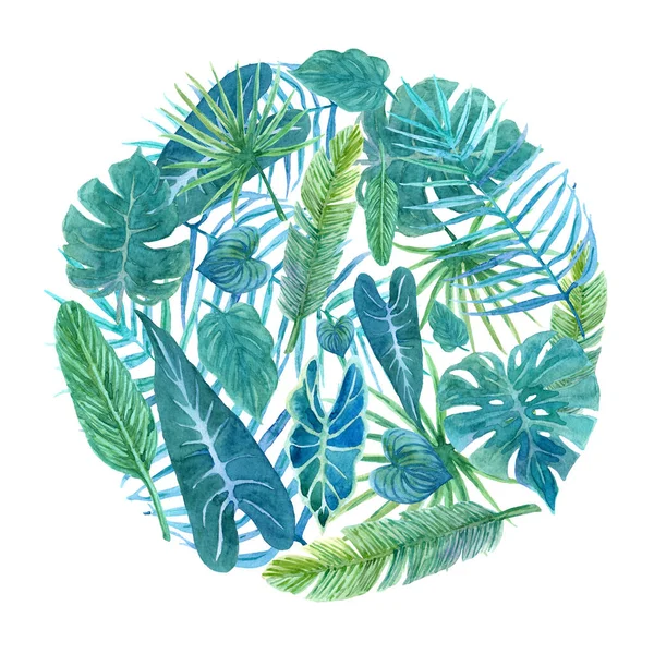 Composición de las hojas tropicales en forma de círculo. Ilustración en acuarela Imagen de stock