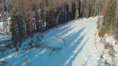 Donmuş nehir ve çam ormanı ve büyük bir gölün hemen ötesinde.