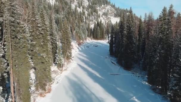 Bevroren Rivier Winter Leidt Door Een Dik Bos — Stockvideo