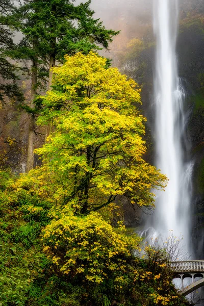 Vue Magnifique Sur Les Chutes Multnomah Oregon Avec Des Couleurs — Photo