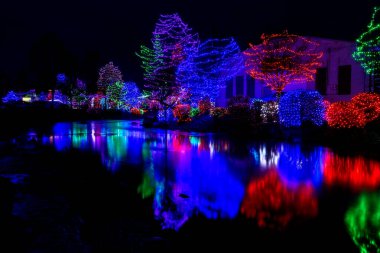 Indian Creek in Idaho reflects trees covered with Christmas lights clipart