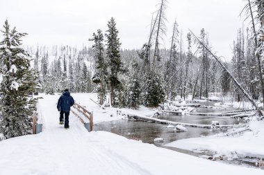 Kar yağar kar ayakkabıları olan bir adamın üstüne, derenin üzerinde yürürken.