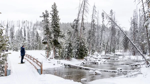 Snowshoer Mira Arroyo Bosque Invernal Idaho — Foto de Stock