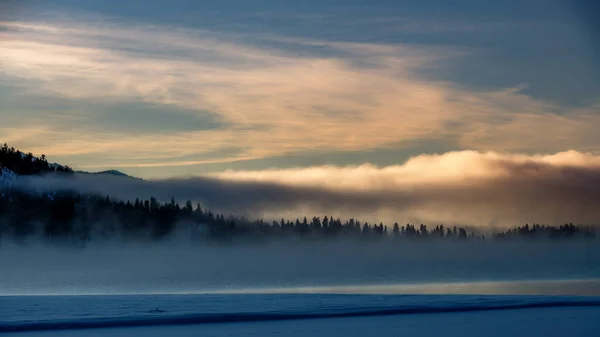 Pine Trees Ridge Fogy Sunrise — Stock Photo, Image