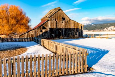 Sıcak renkler bir ahırın kenarına güneş ışığı ile boyanır.