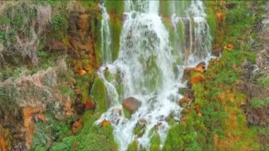 Thousand Springs eyalet sayfasında küçük şelaleler var.