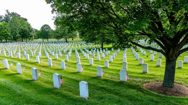 Gedenktag Auf Dem Friedhof Von Arlington Mit Kleinen Amerikanischen Flaggen — Stockfoto