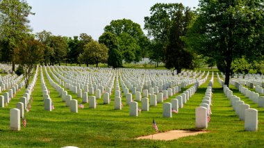 Arlington Mezarlığında taze ızgara hazırlıkları 