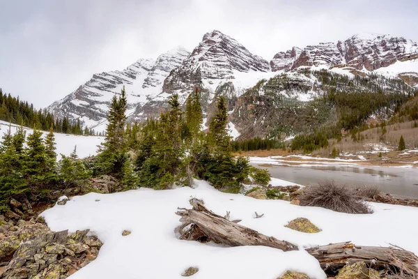 Neige Recouvre Les Hautes Terres Base Des Montagnes Rocheuses Colorado — Photo