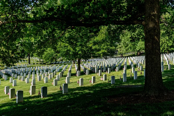 Friedlicher Ort Auf Dem Friedhof Von Arlington Schatten Der Bäume — Stockfoto