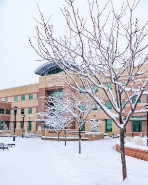 Belediye Binası Meridian Idaho 'ya taze kar yağdı.