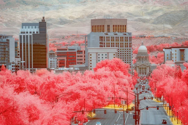 Infrarood Beeld Met Rode Bomen Boise Skyline — Stockfoto