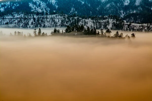 Orange Morning Fog Inversion Fills Valley — Stock Photo, Image