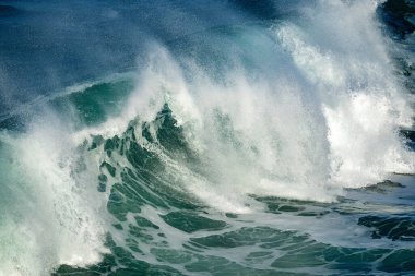 Pasifik Okyanusu dalgası kıvrımlı yakın çekim