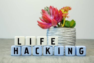 Yumuşak küplerin kısaltması HAFE HACK beyaz arkaplanda bir çiçekle