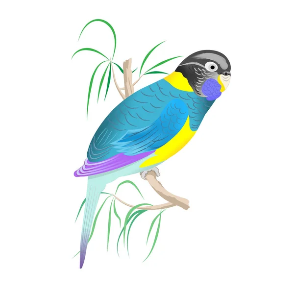 Bright Parrot Sits Branch Vector Illustration — Stock Vector