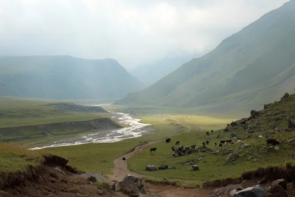 Elbrus