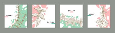 Sketch herbs posters. Vector set