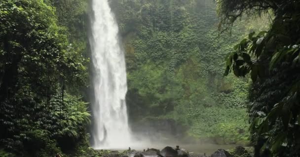 Egy hatalmas vízesés a dzsungelben. A cselekményt alulról lőtték le. — Stock videók