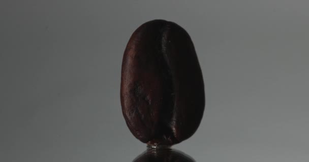 Close-up macro shot van een koffieboon staande plat met bewegend licht — Stockvideo