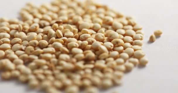 Macro shot de quinoa biologique blanc sur un fond de papier tournant sur une table — Video