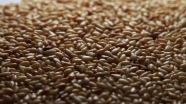 Hareketli ışıkla parlayan susam tohumlarının yakın plan çekimi