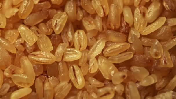 Zavřít makro záběr lesklých texturovaných bulgur semen s pohybujícím se světlem — Stock video