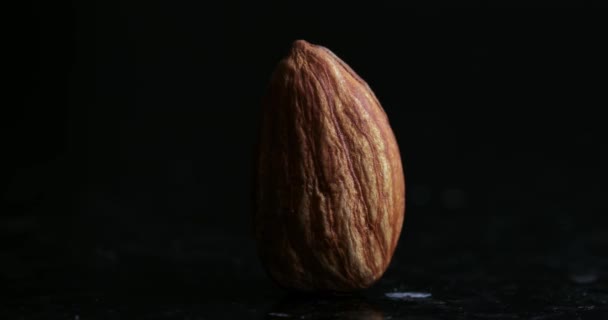 Macro shot of a single peeled roasted almond nut standing flat with moving light — Stock Video