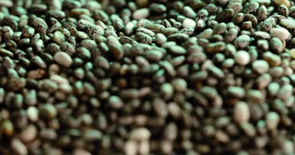 Nahaufnahme und glatter Fokus auf Chiasamen, die in grünem Licht auf einer grauen Oberfläche liegen — Stockvideo