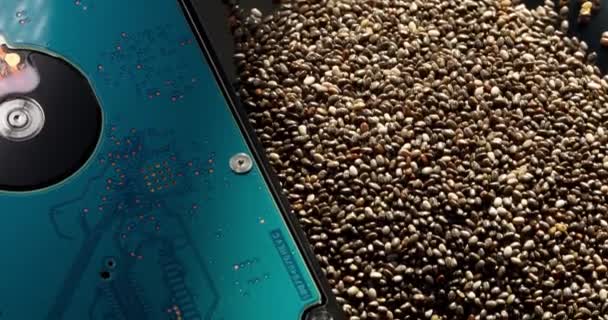 Голубой жесткий диск и груда семян чиа лежат на поверхности с естественным освещением — стоковое видео