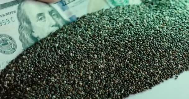 Eine Hand mit einem Hundert-Dollar-Schein rührt Chiasamen in grünem Licht an — Stockvideo