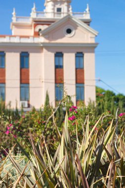 Güneşli bir günde, güzel renkli bahçenin yanındaki güzel apartman.