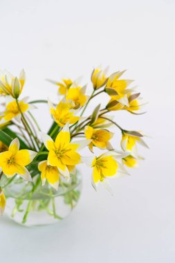 Beyaz arka plandaki ışık masasının üzerinde cam vazoda beyaz-sarı çiçekler. Fotokopi alanı olan bir buket çiçekle pankart hazırla. İlkbahar konsepti