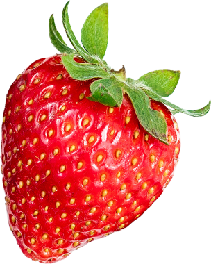 Beyaz arka plan üzerinde izole olgunlaşmış taze çilek