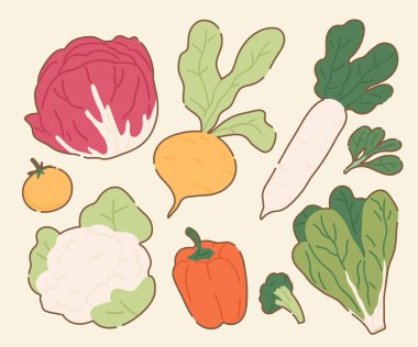 El yapımı Taze Sebze Çizimi Koleksiyonu