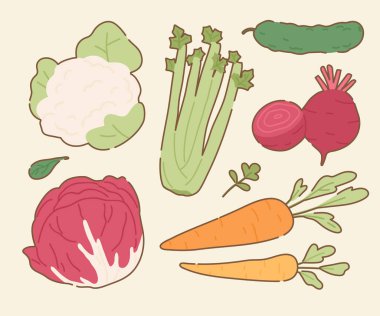 El yapımı Taze Sebze Çizimi Koleksiyonu