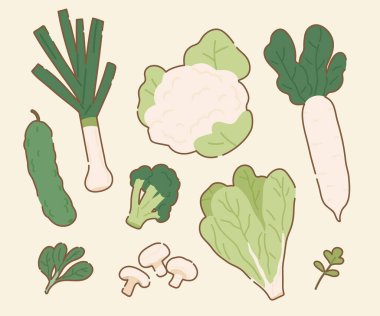 El yapımı Taze Sebze Çizimi Koleksiyonu