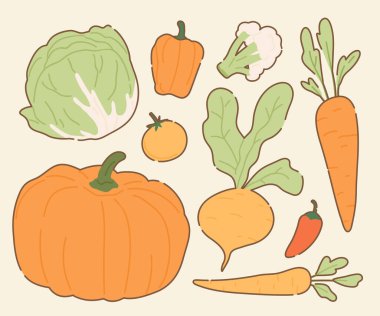 El yapımı Taze Sebze Çizimi Koleksiyonu