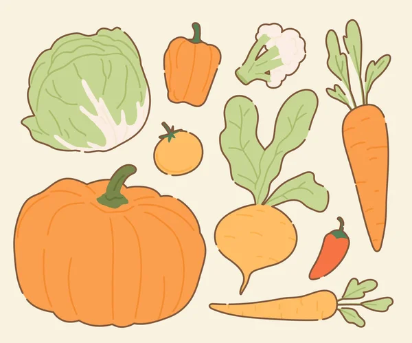 El yapımı Taze Sebze Çizimi Koleksiyonu